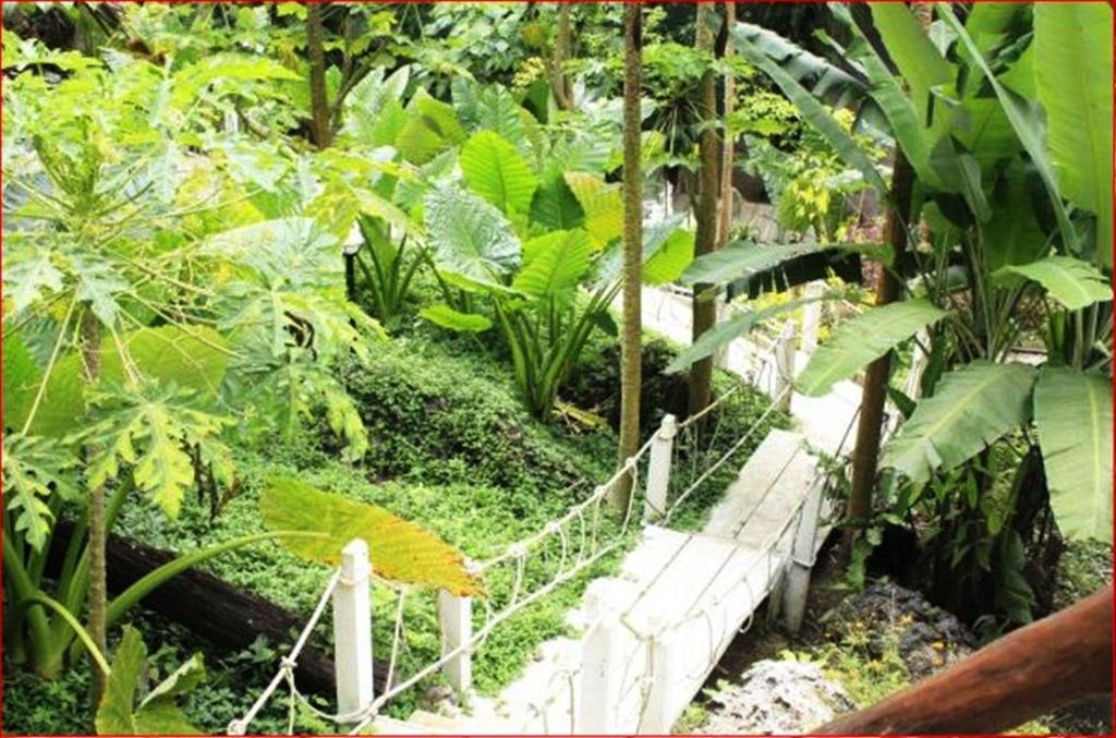 Rai Preda Homestay Ao Luk Exterior photo